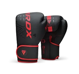 Boxing Training Gloves