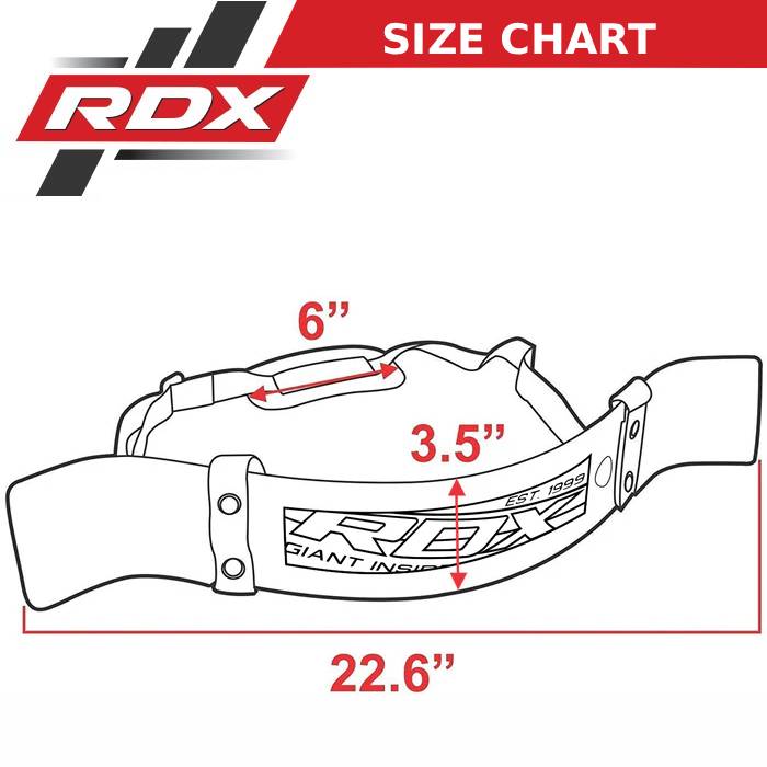 RDX X1 Arm Blaster for Biceps Curl Size Chart